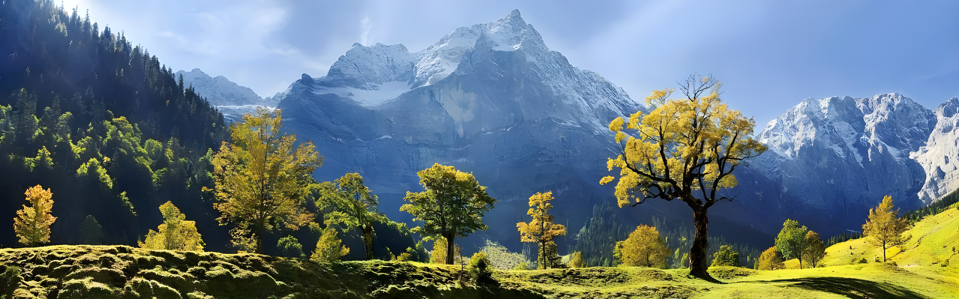 免费商业源码下载 - 精品网站源码分享 | 码云源码库