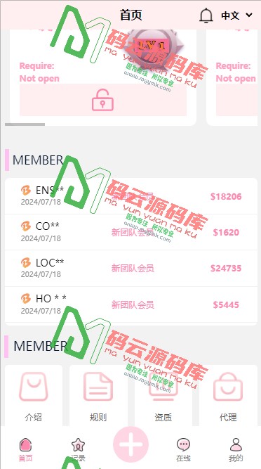 图片[6]-海外多语言抢单系统源码/前端多款UI自由切换/投资理财源码-码云源码库