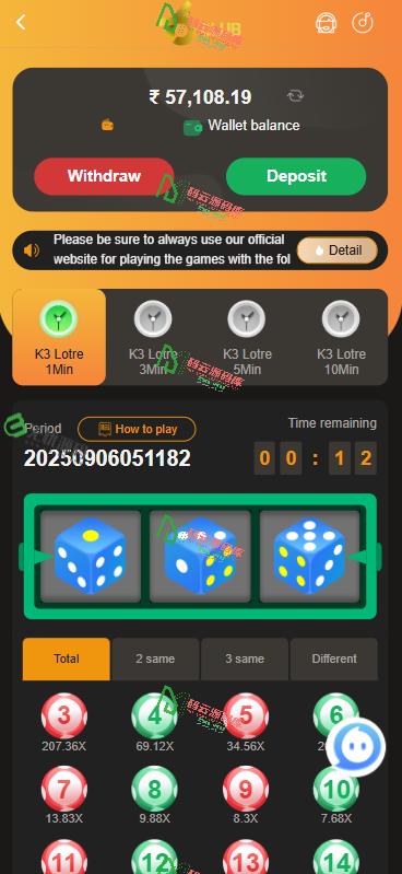 图片[4]-海外彩票游戏源码/印度彩票综合盘源码/5d/k3/wingo/USDT支付-码云源码库